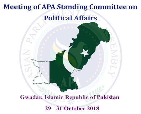  APA Political Standing Committee and SCCAP Meetings 2018